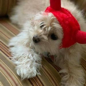 Meet your Posher, Karen